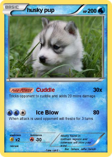 Pokemon husky pup