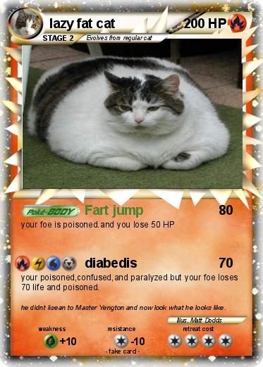 Pokemon lazy fat cat