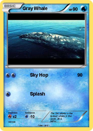 Pokemon Gray Whale