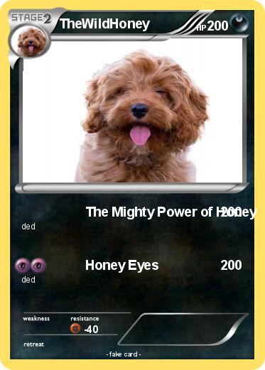 Pokemon TheWildHoney