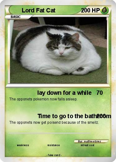 Pokemon Lord Fat Cat