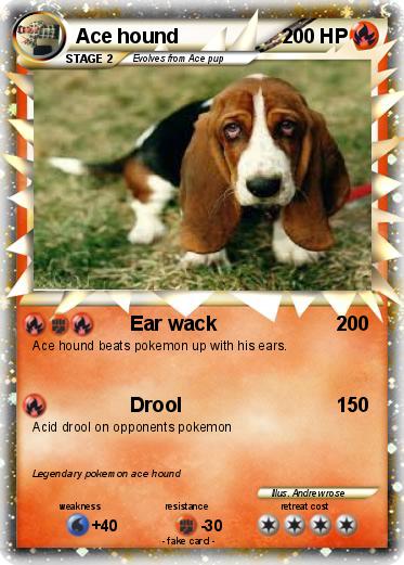 Pokemon Ace hound