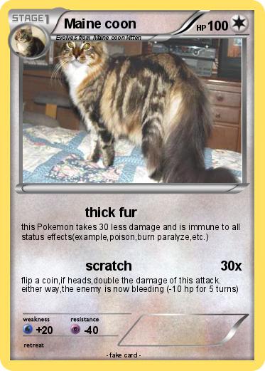 Pokemon Maine coon