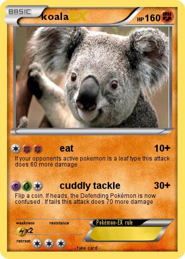 Pokemon koala