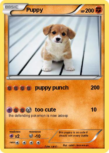 Pokemon Puppy