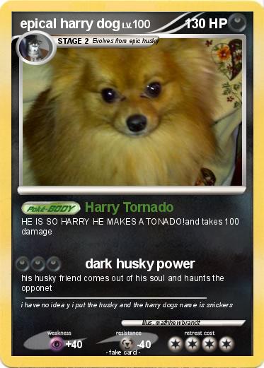 Pokemon epical harry dog