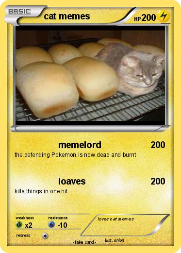 Pokemon cat memes