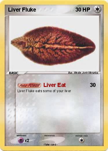 Pokemon Liver Fluke