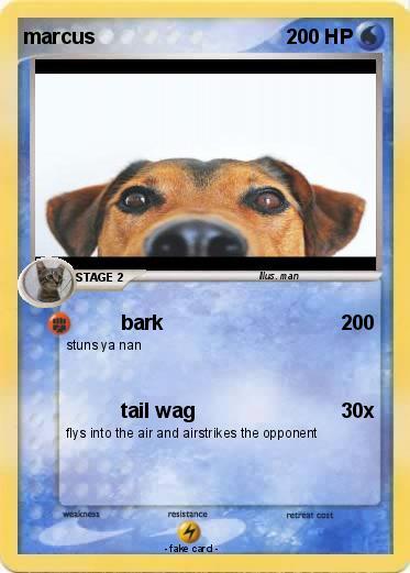 Pokemon marcus