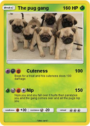 Pokemon The pug gang