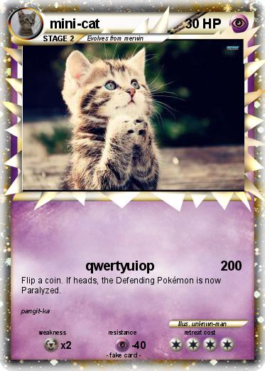 Pokemon mini-cat