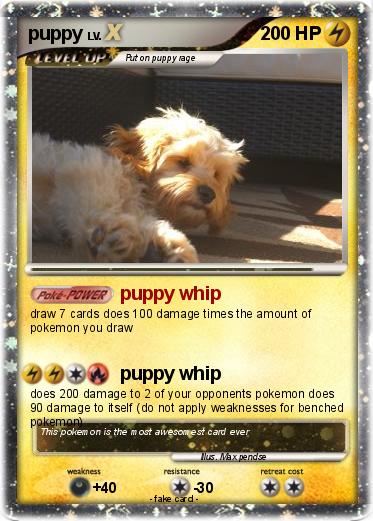 Pokemon puppy