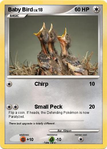 Pokemon Baby Bird