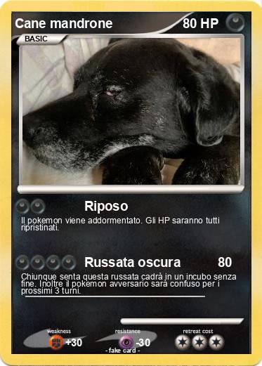 Pokemon Cane mandrone