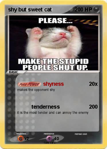 Pokemon shy but sweet cat