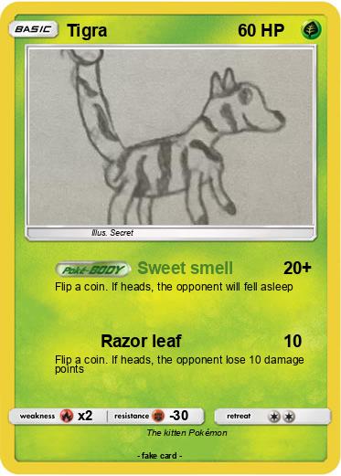 Pokemon Tigra