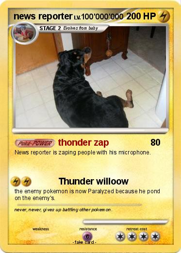 Pokemon news reporter