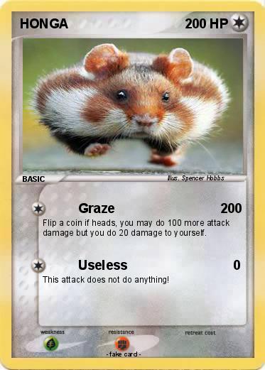 Pokemon HONGA