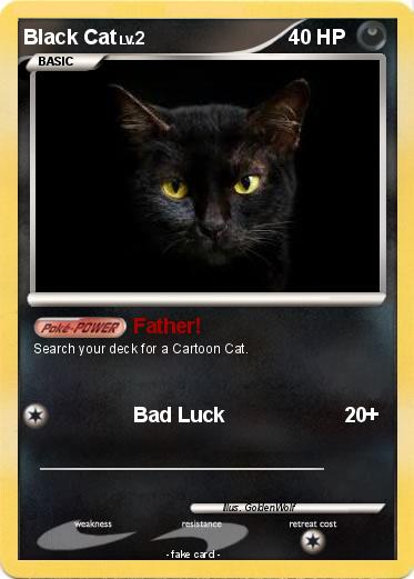 Pokemon Black Cat