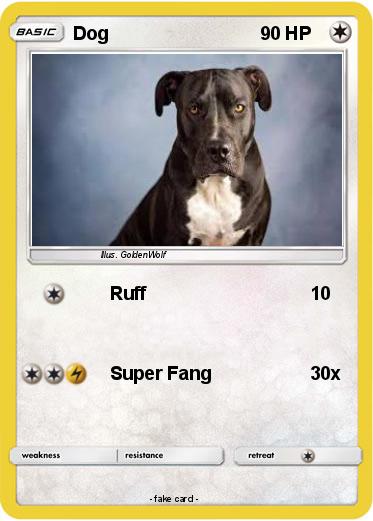 Pokemon Dog