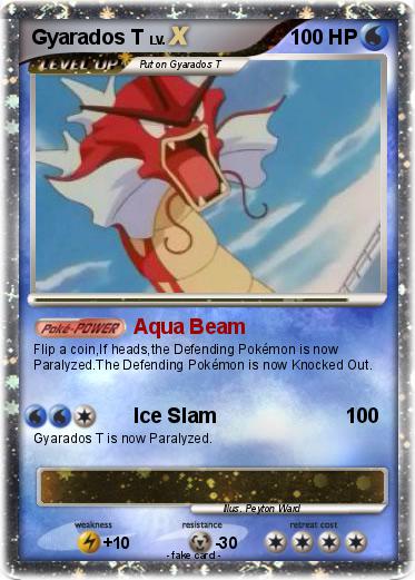 Pokemon Gyarados T