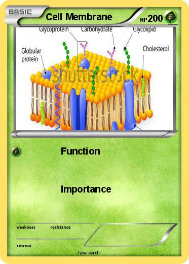 Pokemon Cell Membrane