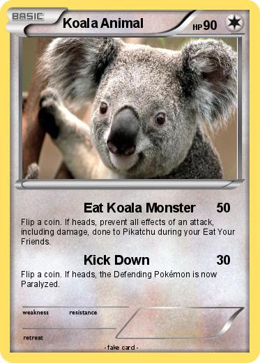 Pokemon Koala Animal