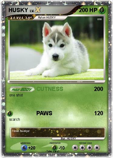 Pokemon HUSKY