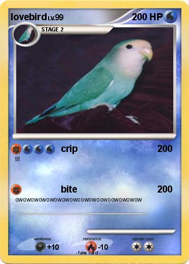 Pokemon lovebird