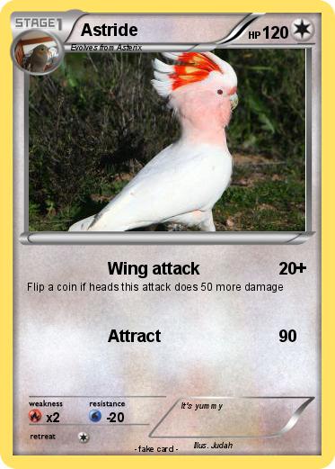 Pokemon Astride