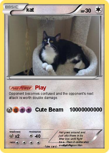 Pokemon kat