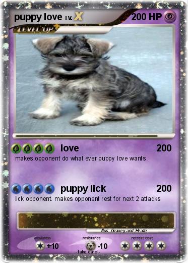 Pokemon puppy love