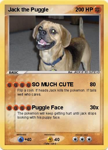 Pokemon Jack the Puggle