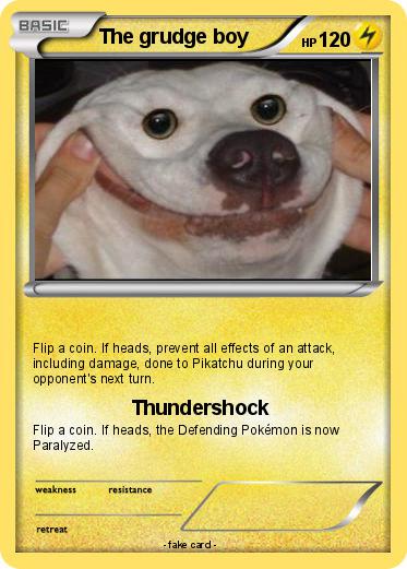 Pokemon The grudge boy