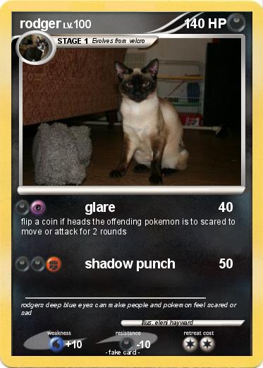 Pokemon rodger