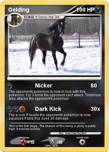 Pokemon Gelding