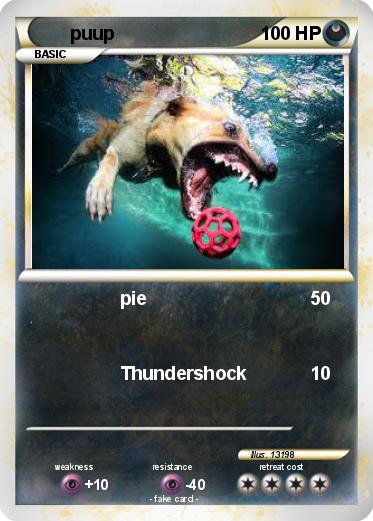 Pokemon puup