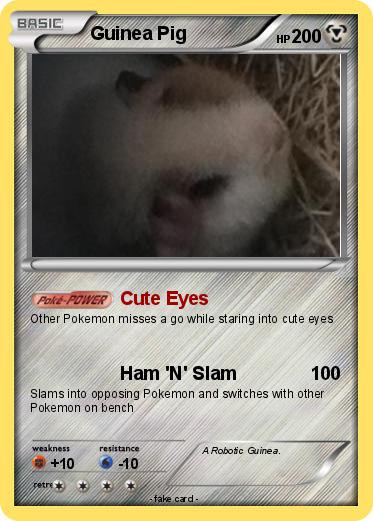 Pokemon Guinea Pig