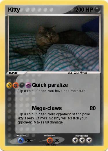 Pokemon Kitty