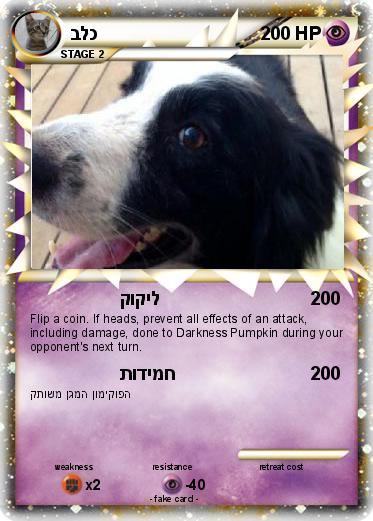 Pokemon בלכ