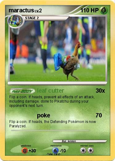 Pokemon maractus