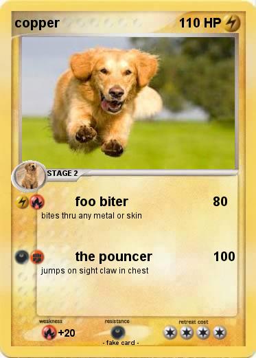 Pokemon copper