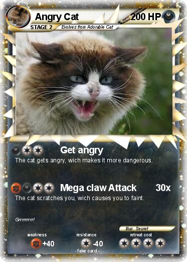 Pokemon Angry Cat