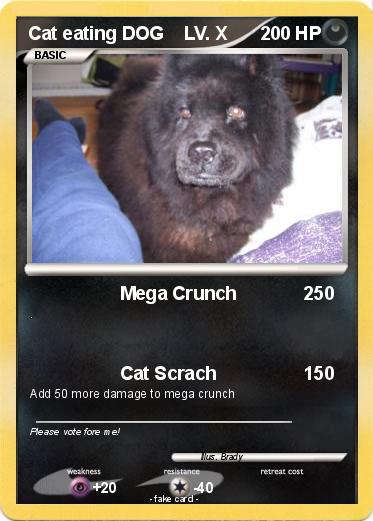 Pokemon Cat eating DOG    LV. X