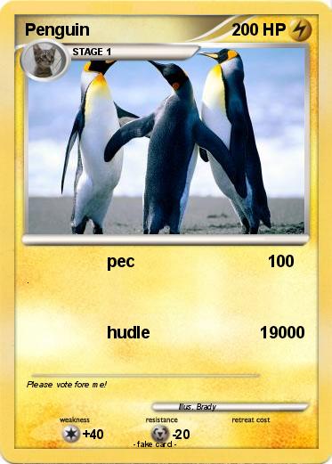 Pokemon Penguin