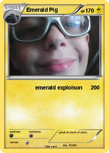 Pokemon Emerald Pig