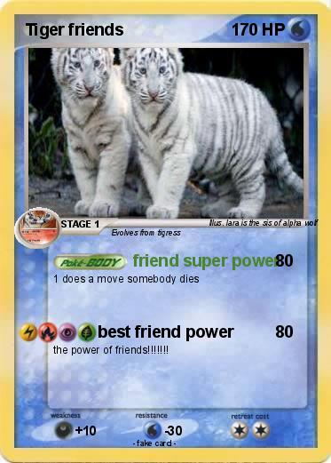 Pokemon Tiger friends