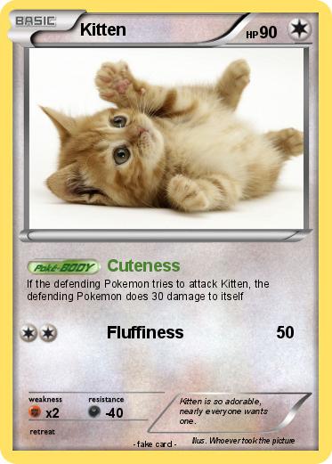 Pokemon Kitten