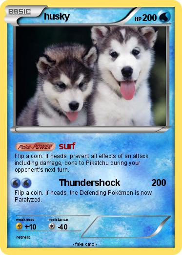 Pokemon husky