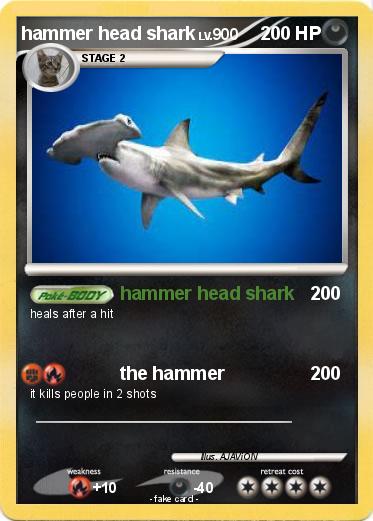 Pokemon hammer head shark